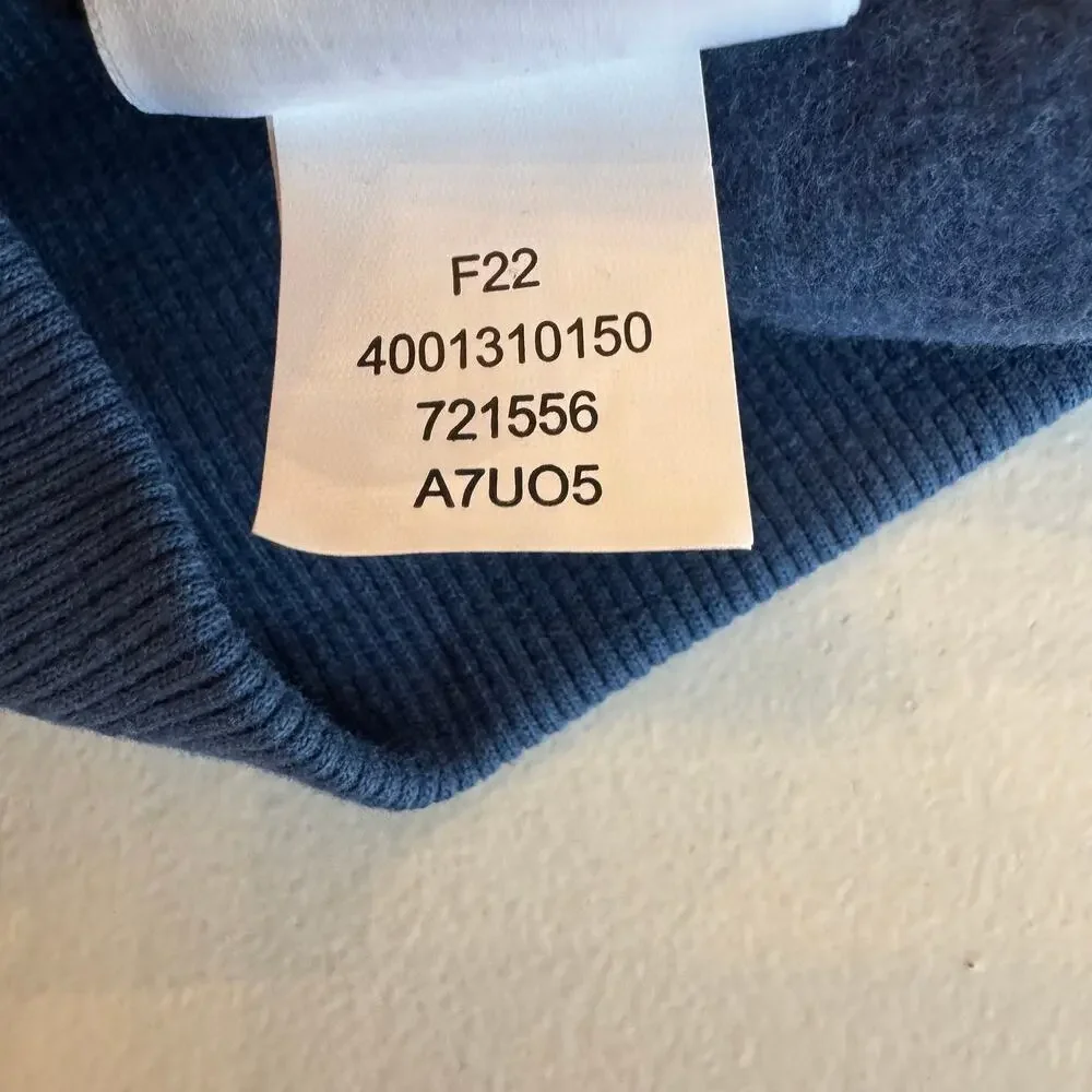 The North Face Joshua Tree Hoodie Size Large Shady Blue Graphic Logo Sweatshirt